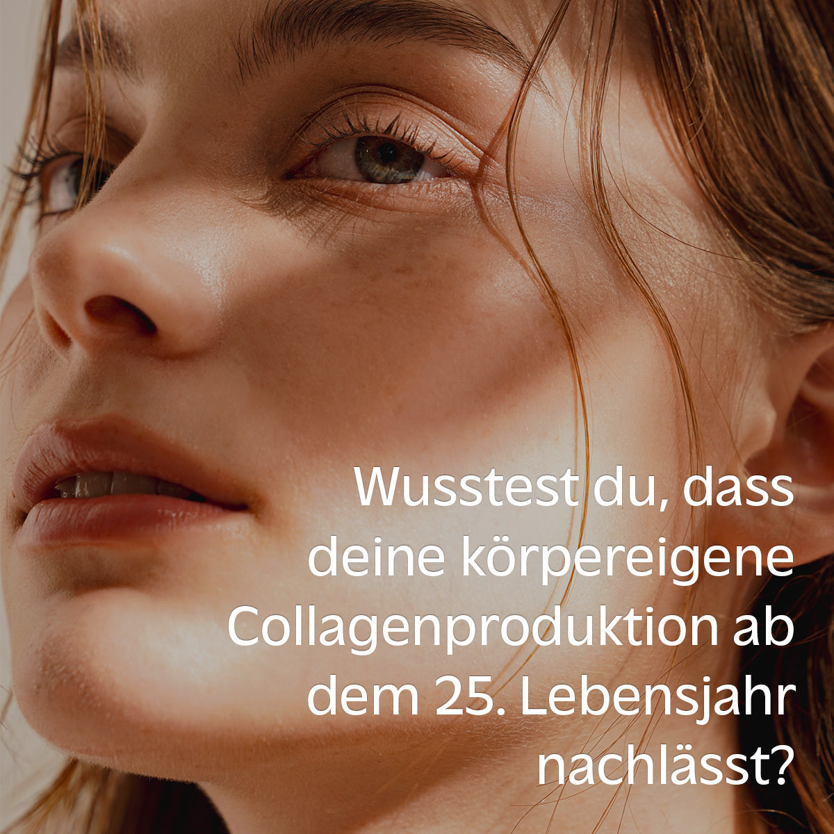 Vegan Collagen Boost